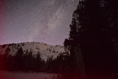 DSC_5981 (Large).JPG